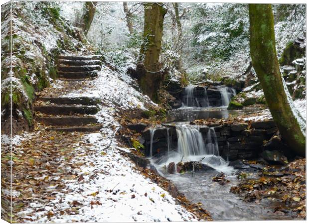 Winters scene of stream in woodland waterfall afte Canvas Print by Andrew Heaps