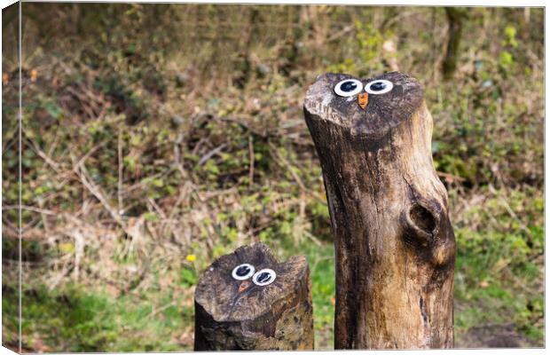 Owl faces on tree stumps Canvas Print by Jason Wells
