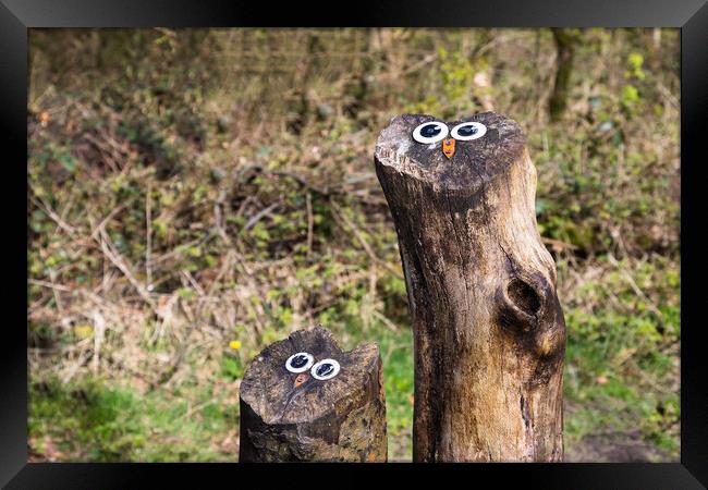 Owl faces on tree stumps Framed Print by Jason Wells