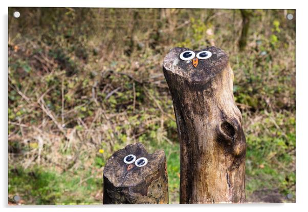 Owl faces on tree stumps Acrylic by Jason Wells