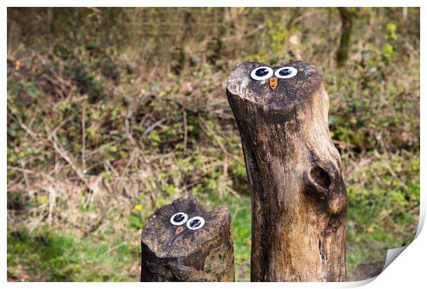 Owl faces on tree stumps Print by Jason Wells