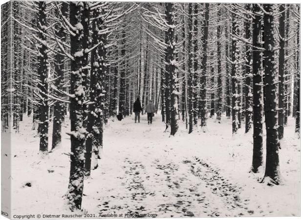 Winter Forest Walk Canvas Print by Dietmar Rauscher