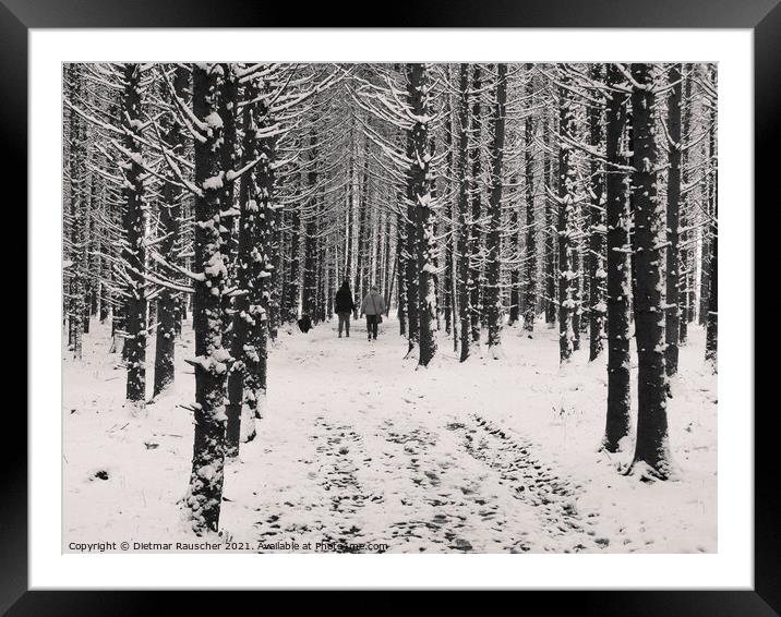 Winter Forest Walk Framed Mounted Print by Dietmar Rauscher