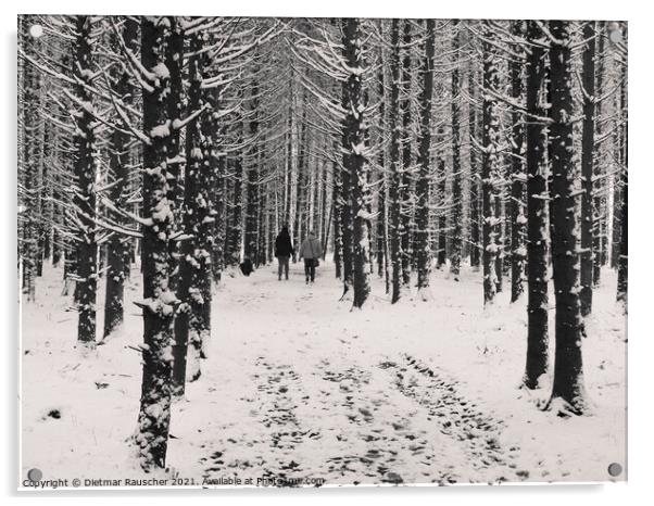 Winter Forest Walk Acrylic by Dietmar Rauscher