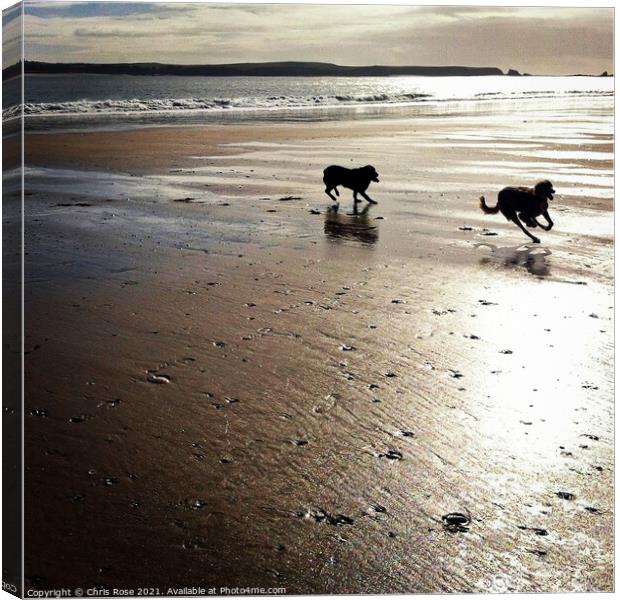 Two dogs running on a beach Canvas Print by Chris Rose