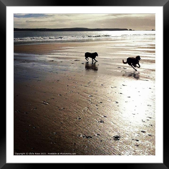 Two dogs running on a beach Framed Mounted Print by Chris Rose