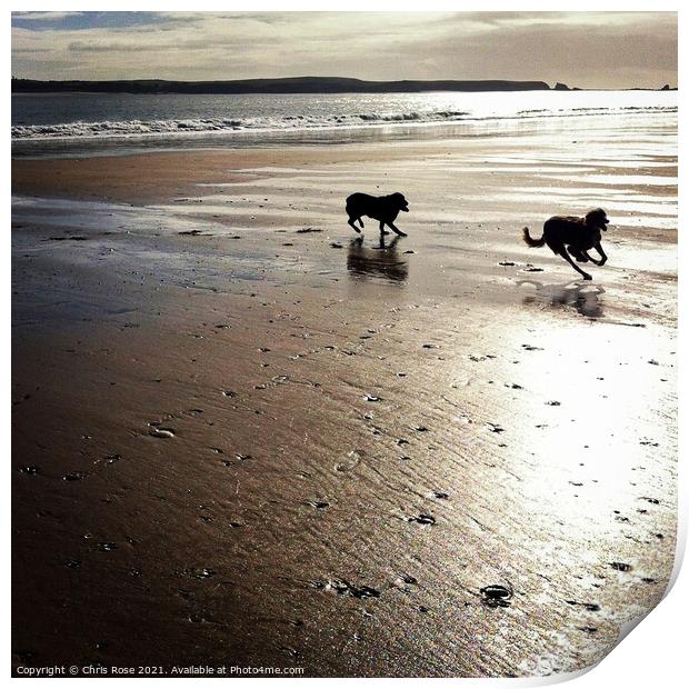 Two dogs running on a beach Print by Chris Rose