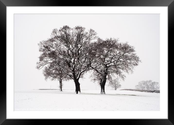 The Three Trees Framed Mounted Print by Mark McDonald