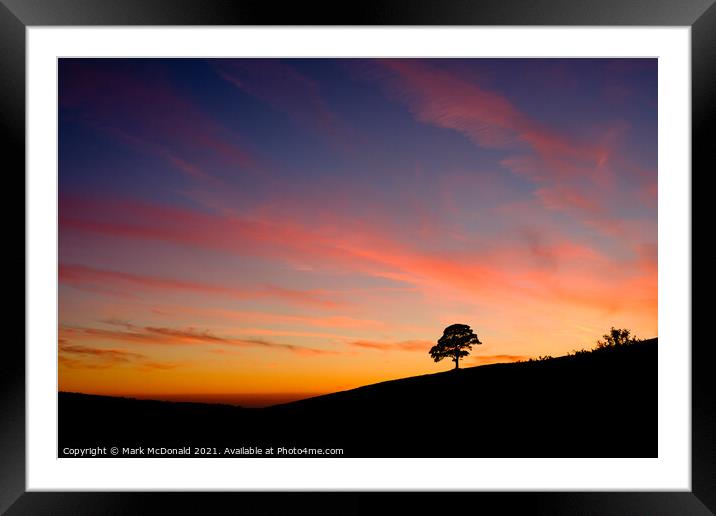 Tree Silhouette Framed Mounted Print by Mark McDonald