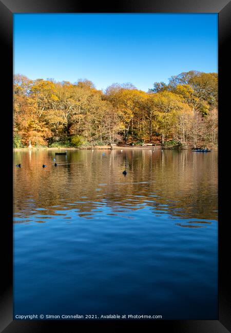 Queensmere Lake, Wimbledon Common Framed Print by Simon Connellan