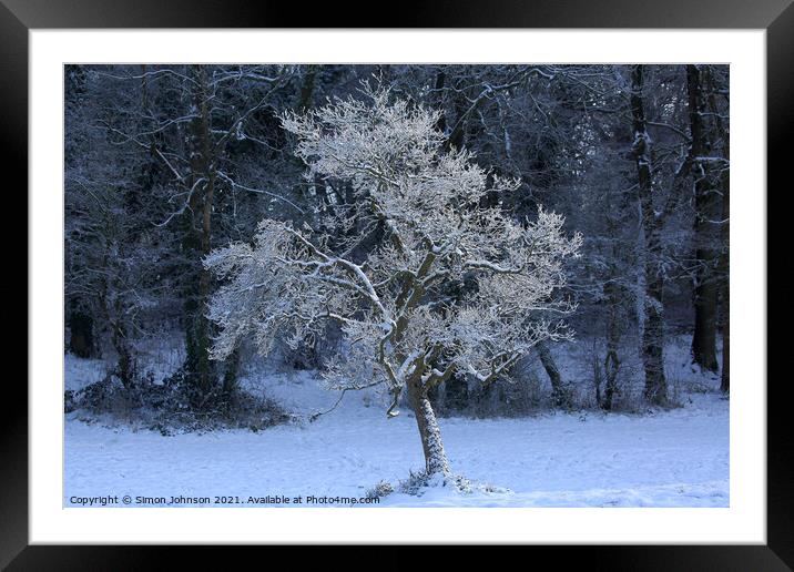 sunlit frosted tree Framed Mounted Print by Simon Johnson