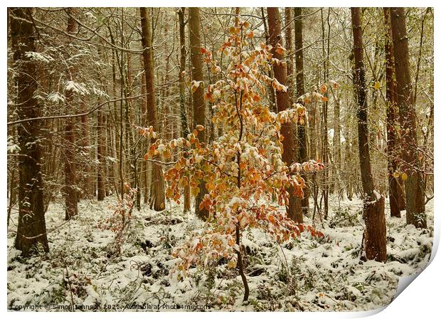  autumn leaves and woodland snow Print by Simon Johnson
