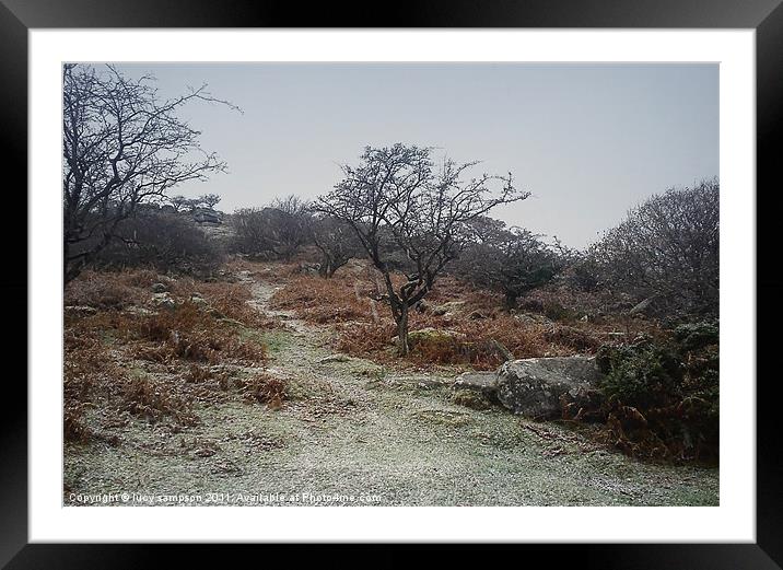 a snowy coated morning Framed Mounted Print by lucy sampson