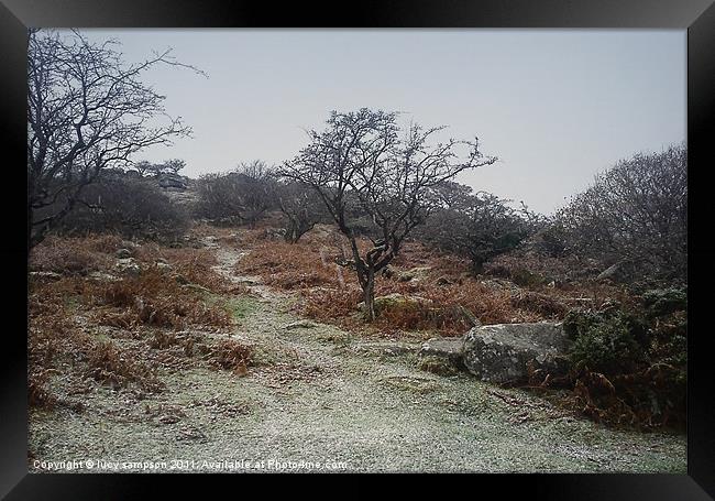 a snowy coated morning Framed Print by lucy sampson