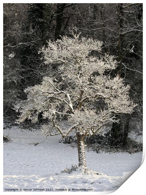 A tree with snow on the ground Print by Simon Johnson