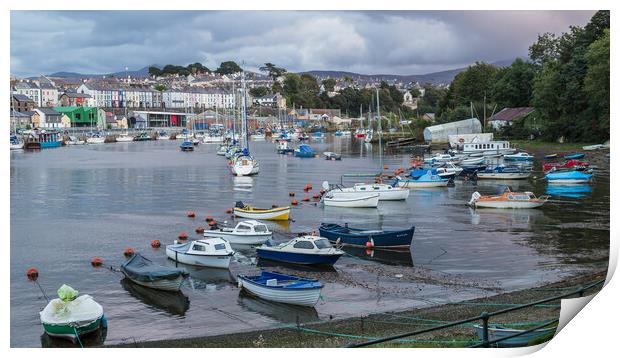 Boats lined up in Caernarfon Harbour Print by Jason Wells