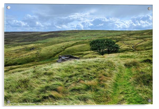 Top Withens ruins Haworth Moor Yorkshire Dales  Acrylic by Diana Mower