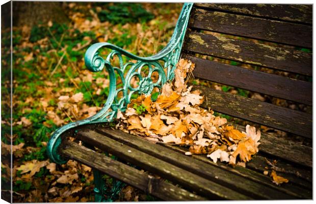 The Garden Bench in Autumn Canvas Print by Gerry Walden LRPS