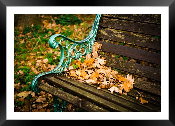The Garden Bench in Autumn Framed Mounted Print by Gerry Walden LRPS