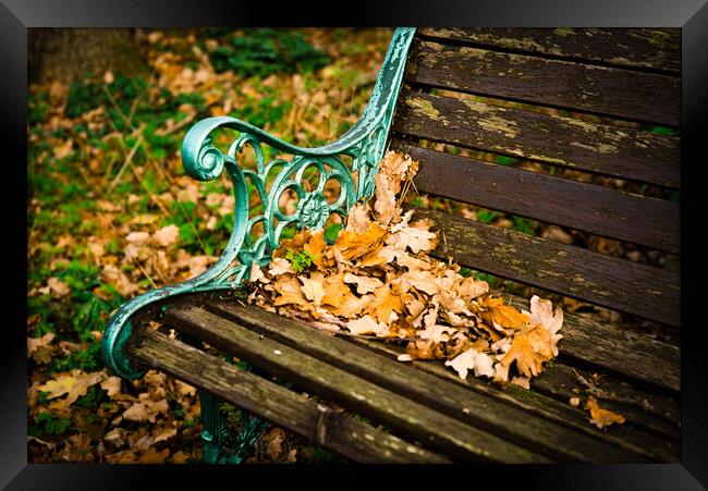 The Garden Bench in Autumn Framed Print by Gerry Walden LRPS