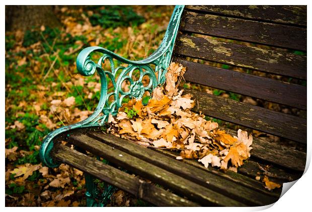 The Garden Bench in Autumn Print by Gerry Walden LRPS