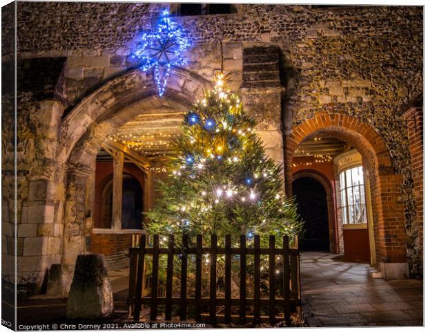 Christmas Decorations at Kingsgate in Winchester, UK Canvas Print by Chris Dorney