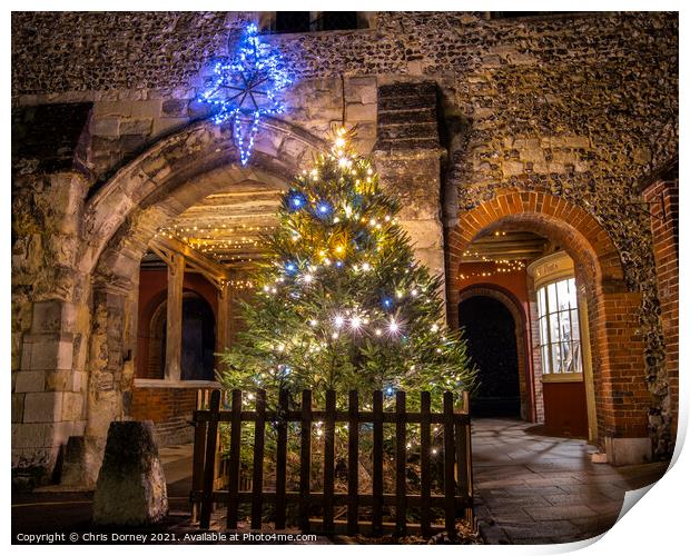 Christmas Decorations at Kingsgate in Winchester, UK Print by Chris Dorney
