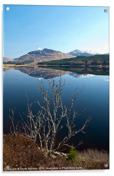Loch Laggan Reflections Acrylic by Derek Whitton