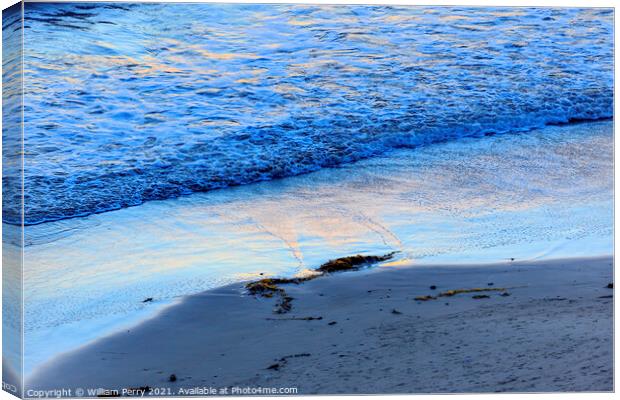 Eilwood Mesa Beach Seaweed Pacific Ocean Evening Goleta Californ Canvas Print by William Perry
