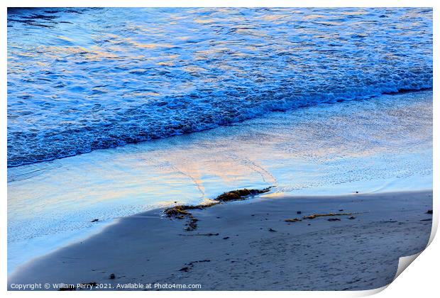 Eilwood Mesa Beach Seaweed Pacific Ocean Evening Goleta Californ Print by William Perry