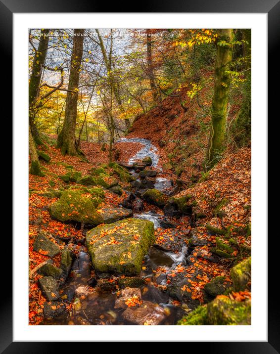 "Autumn's Enchanting Symphony" Framed Mounted Print by Lee Kershaw