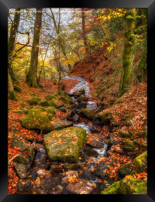 "Autumn's Enchanting Symphony" Framed Print by Lee Kershaw