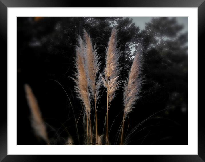 Blowing in the Wind Framed Mounted Print by Judy Hall-Folde
