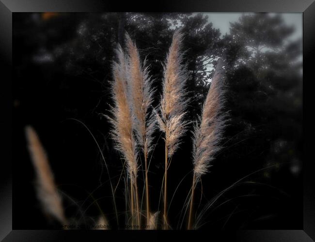 Blowing in the Wind Framed Print by Judy Hall-Folde