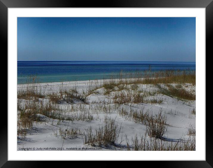 Colors of Paradise Framed Mounted Print by Judy Hall-Folde