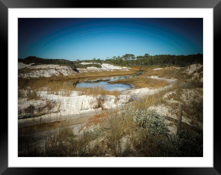Created by Nature Framed Mounted Print by Judy Hall-Folde