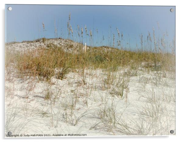 Sand and Sea Oats Acrylic by Judy Hall-Folde