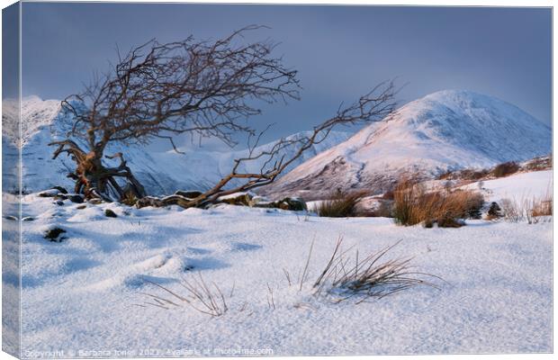Red Hills Snow Scene Isle of Skye Scotland. Canvas Print by Barbara Jones