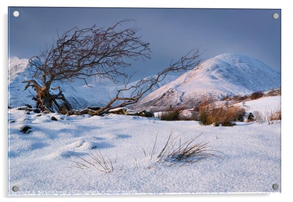 Red Hills Snow Scene Isle of Skye Scotland. Acrylic by Barbara Jones
