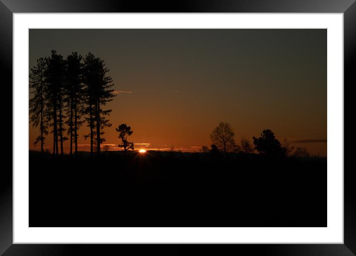 Sunrise between the trees Framed Mounted Print by Andy Dow