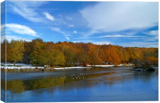 Dearne Valley Country Park in Autumn Canvas Print by Darren Galpin