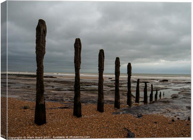 Tide and Time Canvas Print by Mark Ward