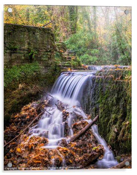 Kearsney Abbey waterfall Acrylic by James Eastwell