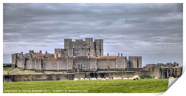 Dover Caslte and the sheep Print by James Eastwell