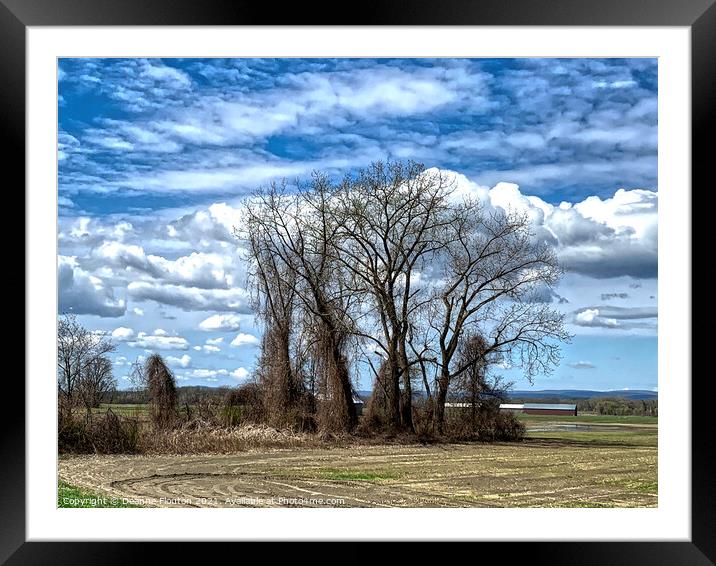 Stately Trees on Rustic Farmland Framed Mounted Print by Deanne Flouton