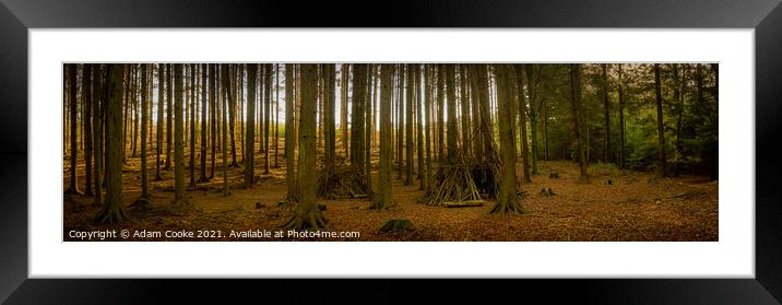 In The Woods | Panoramic | Limpsfield Common Framed Mounted Print by Adam Cooke