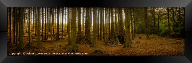 In The Woods | Panoramic | Limpsfield Common Framed Print by Adam Cooke