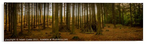 In The Woods | Panoramic | Limpsfield Common Acrylic by Adam Cooke