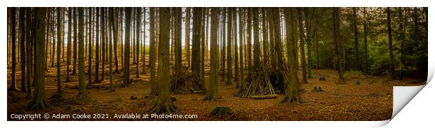 In The Woods | Panoramic | Limpsfield Common Print by Adam Cooke