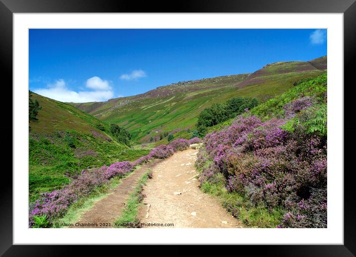 Grindsbrook Framed Mounted Print by Alison Chambers